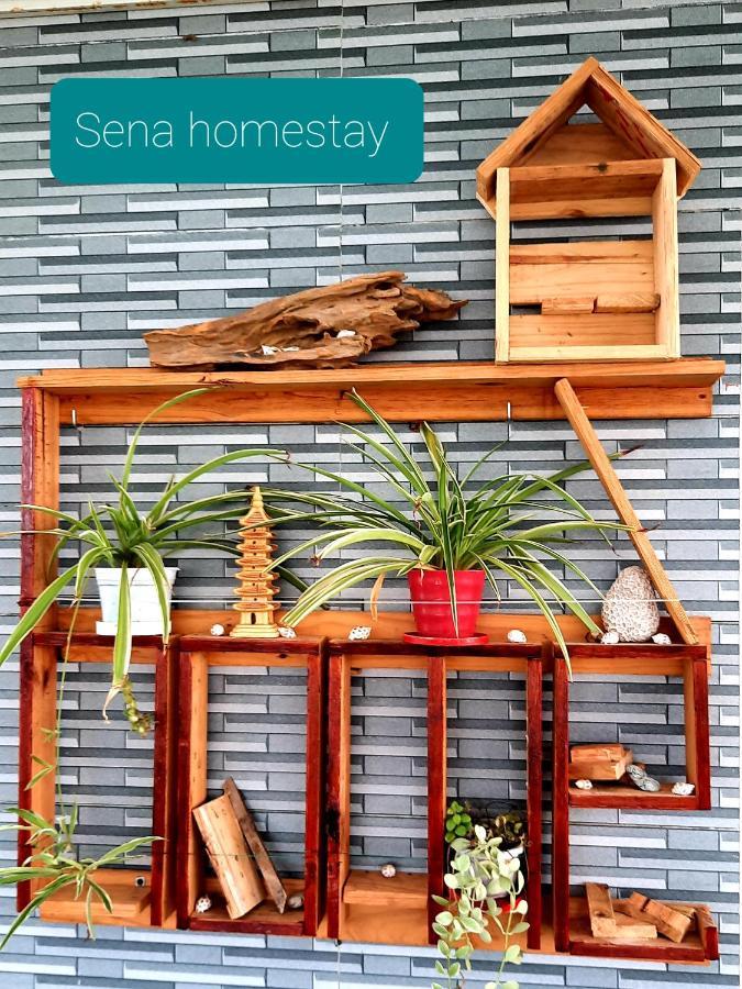 Sena Home 3#1-Near Danang Dragon Bridge-Han River Exteriör bild