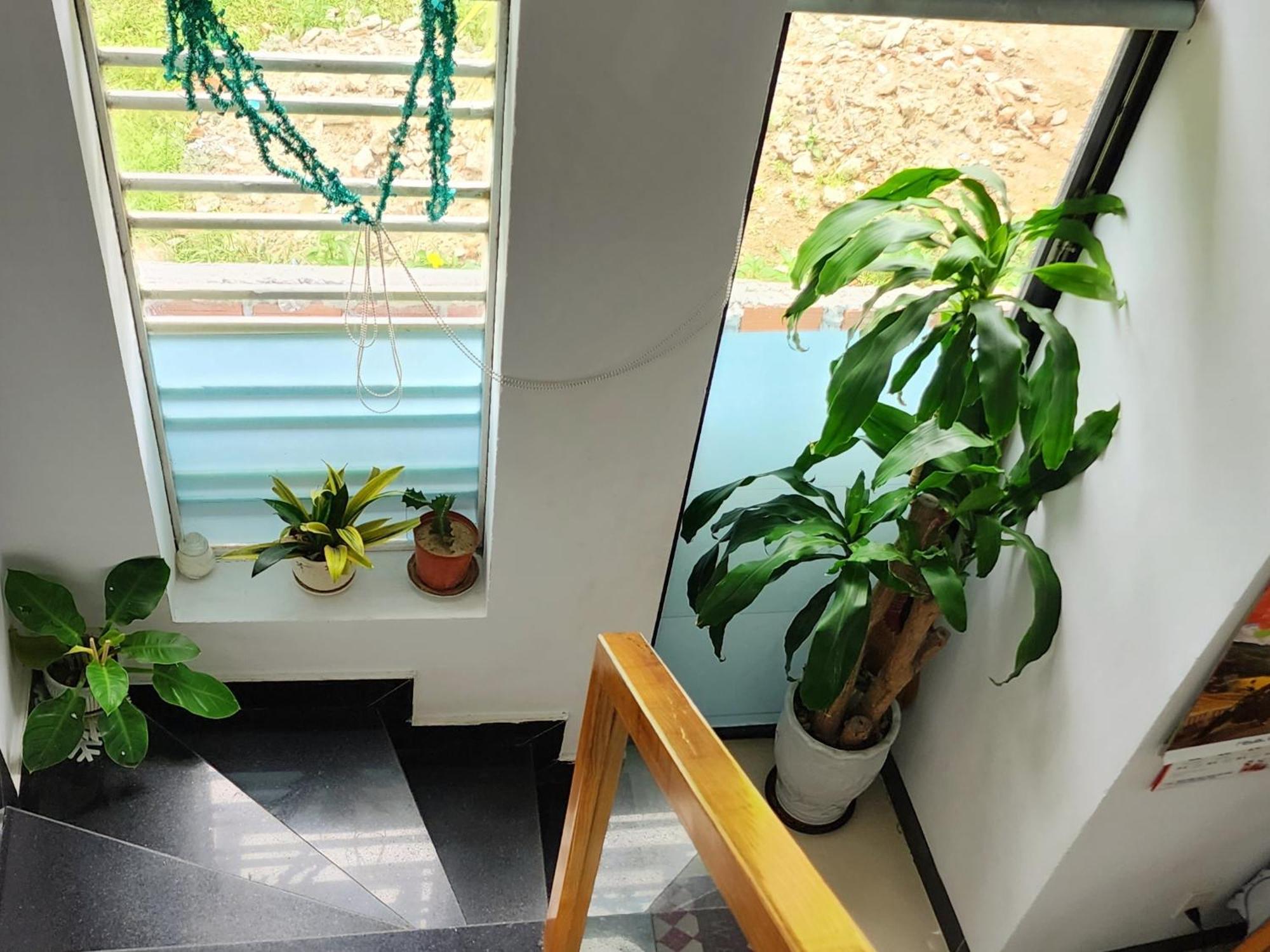 Sena Home 3#1-Near Danang Dragon Bridge-Han River Exteriör bild