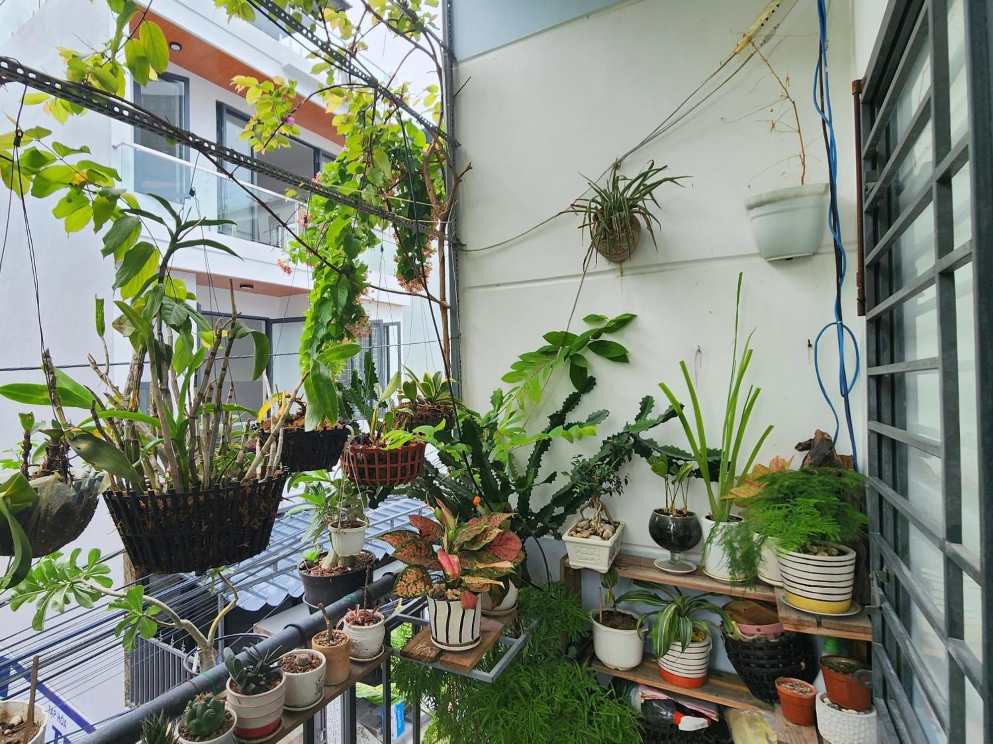 Sena Home 3#1-Near Danang Dragon Bridge-Han River Exteriör bild